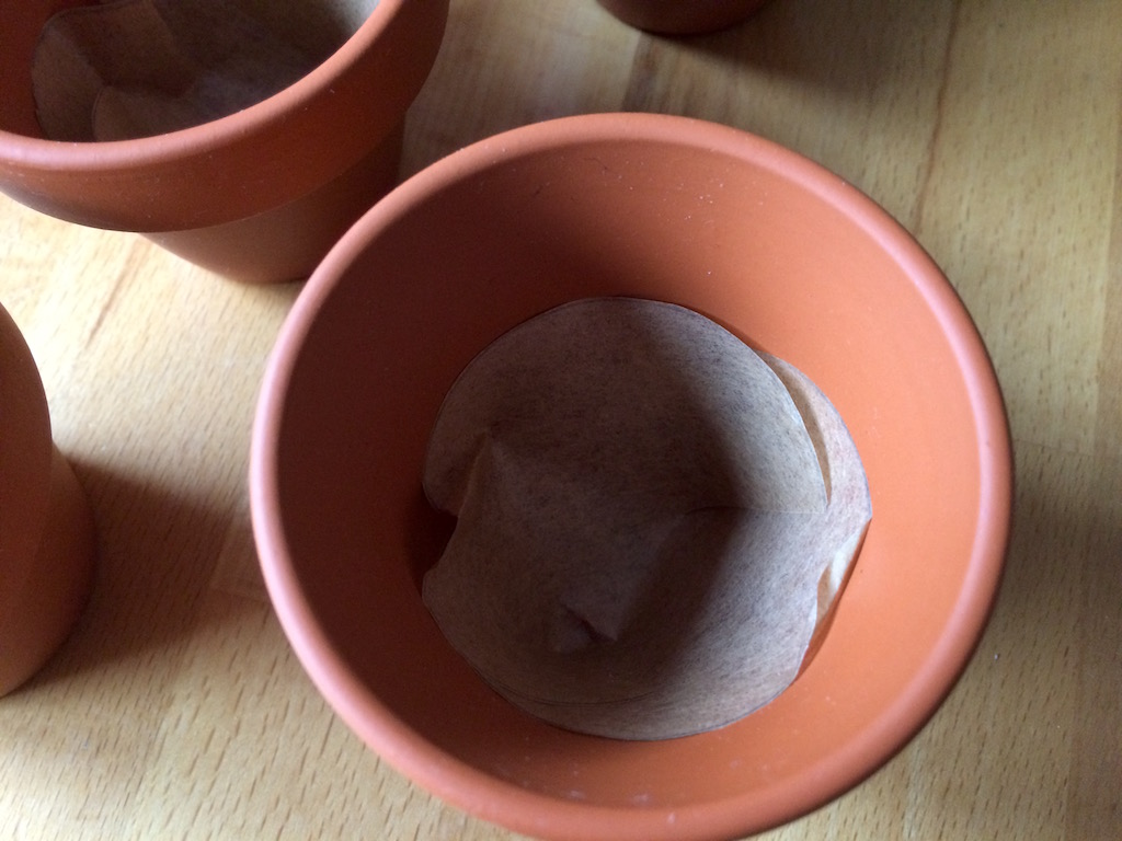 Osterhäschen im Blumentopf › nordhessenmami.de