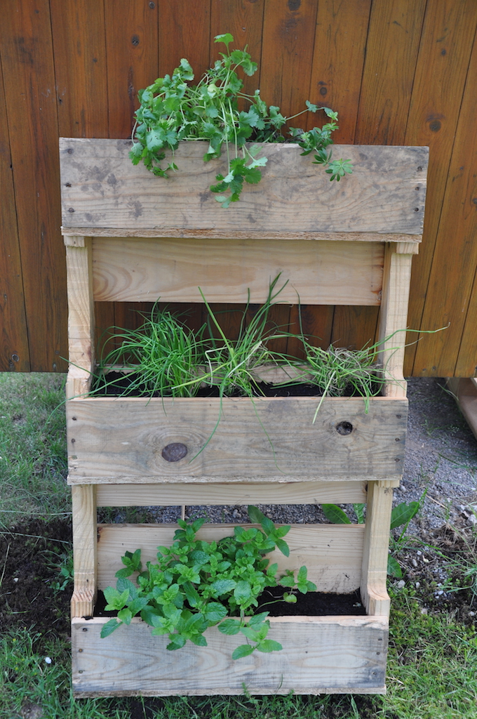 DIY Ein Kräuterregal ganz einfach selbst gebaut › nordhessenmami.de