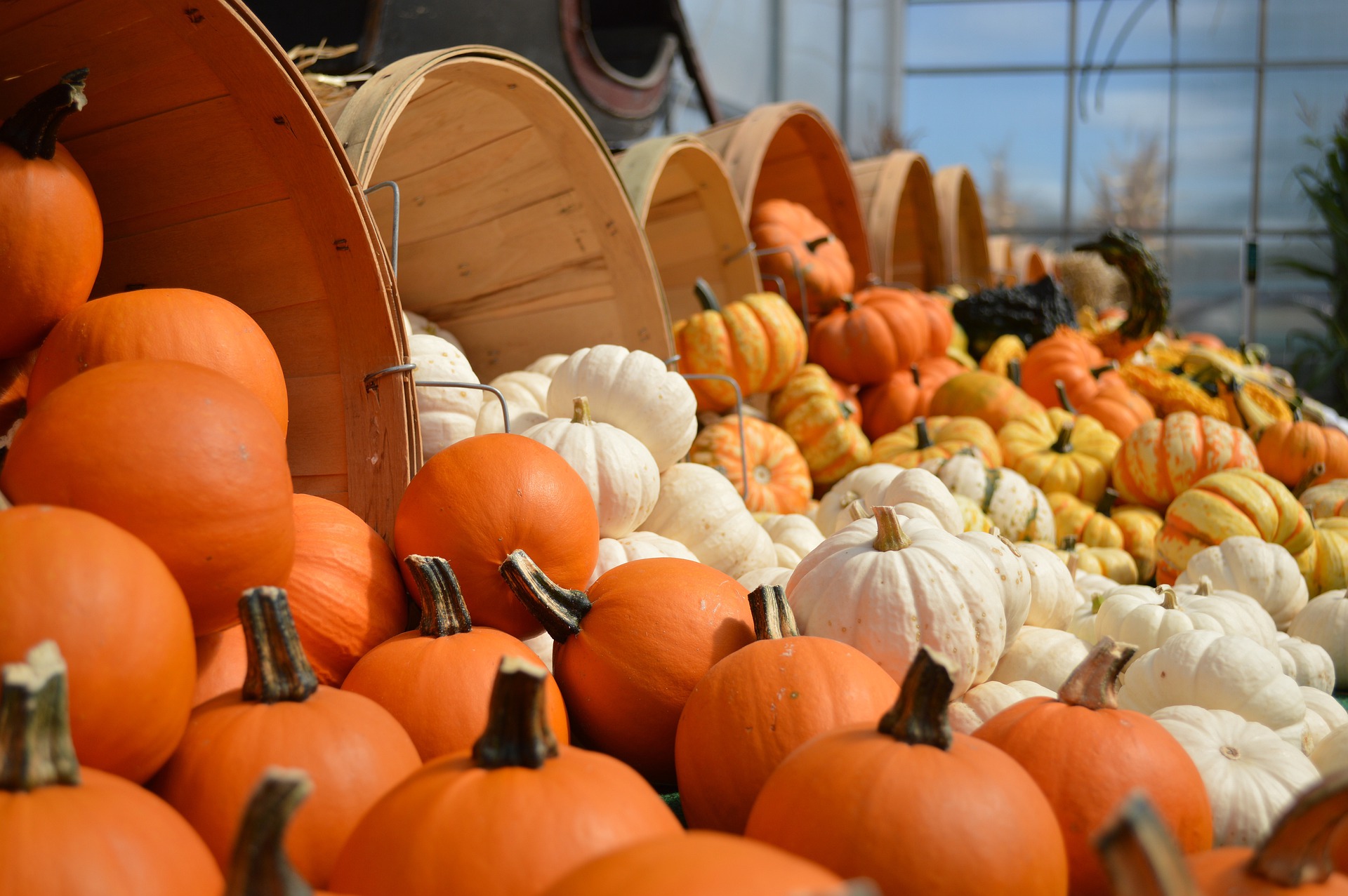 Buntes Herbstfest